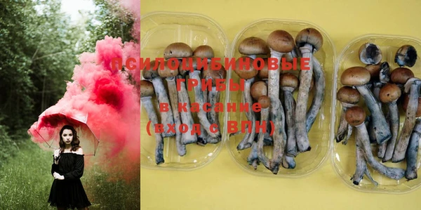 PSILOCYBIN Аркадак